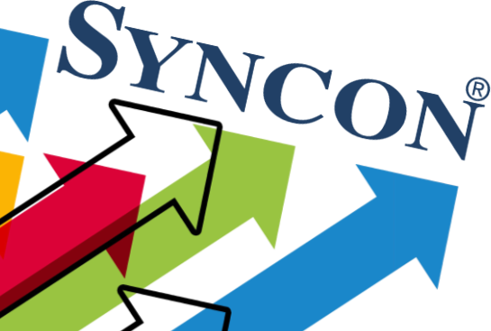 Syncon Team Beratergruppe